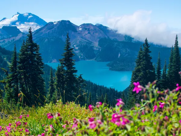 Canadian Rockies